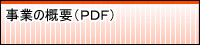 ���Ƃ̊T�v(PDF)